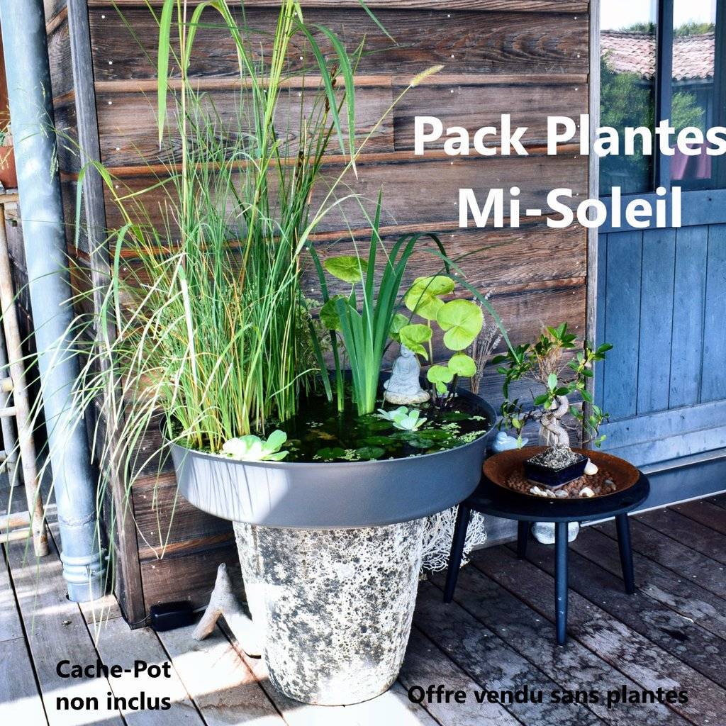 Pack Bassin de Terrasse, 60Litres  avec Accessoires + Oxygénateur 220V- sans plantes.Produit Médaillé d'Argent - Image 1