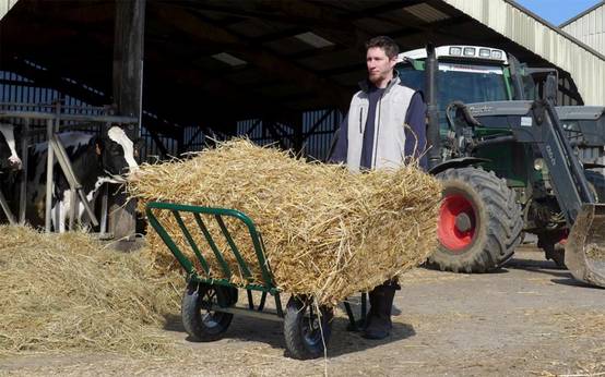 Haemmerlin - Brouette Agricola 2 roues gonflées Haemmerlin - Image 3