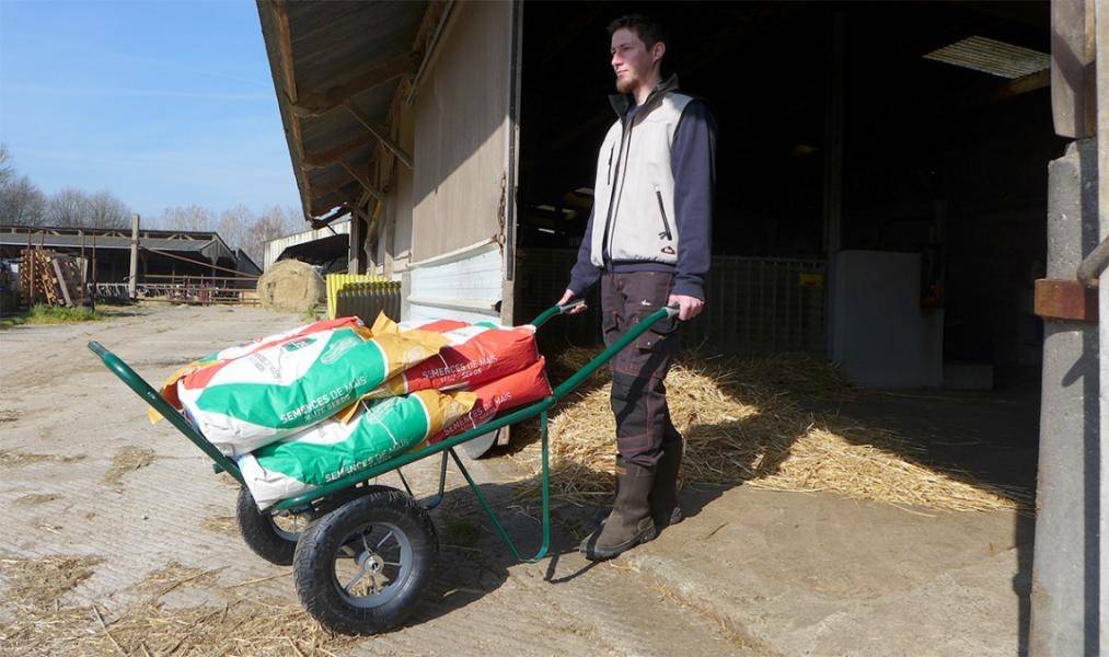 Haemmerlin - Brouette Agricola 2 roues gonflées Haemmerlin - Image 2
