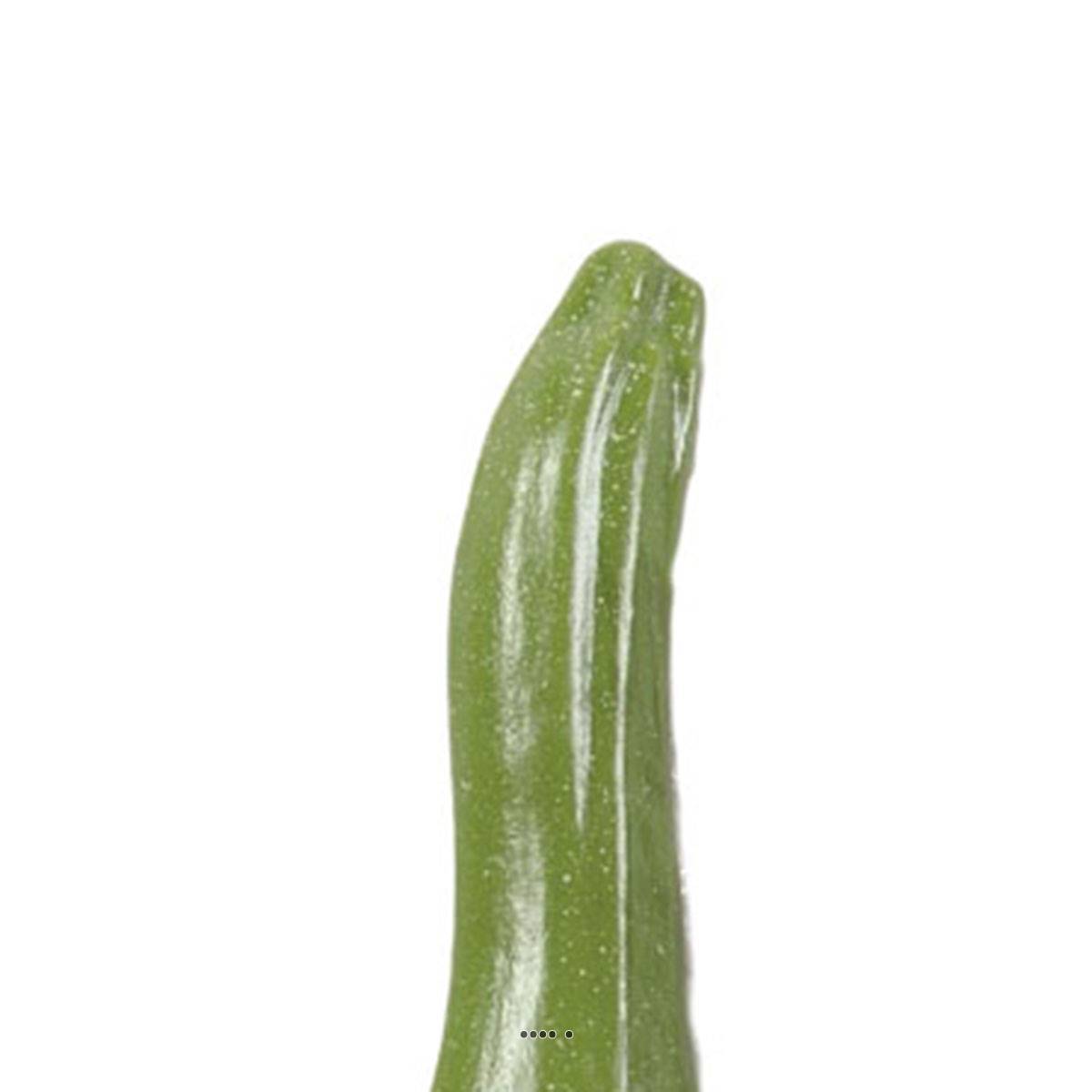Artificielles - Courgette verte artificielle X 3 en Plastique soufflé L 180x40 mm - Image 3