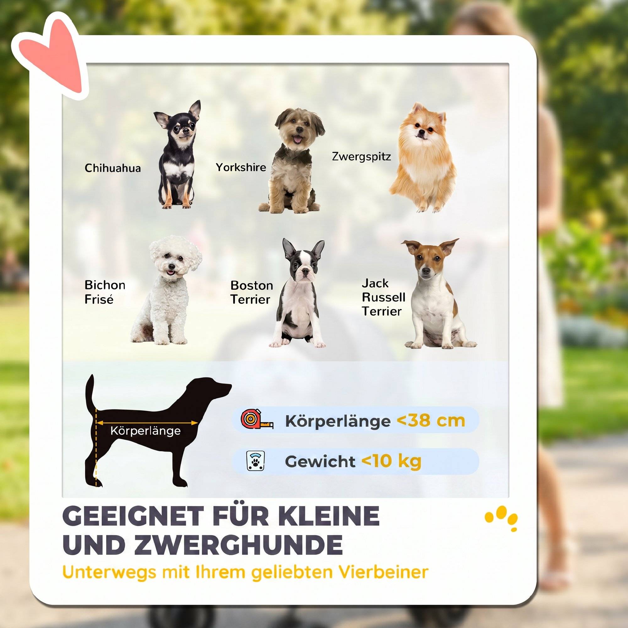 ComfortXL - Poussette chien chat pliable tissu Oxford gris petits animaux jusqu’à 10 kg roues 360° filet respirant pour balade - Image 4
