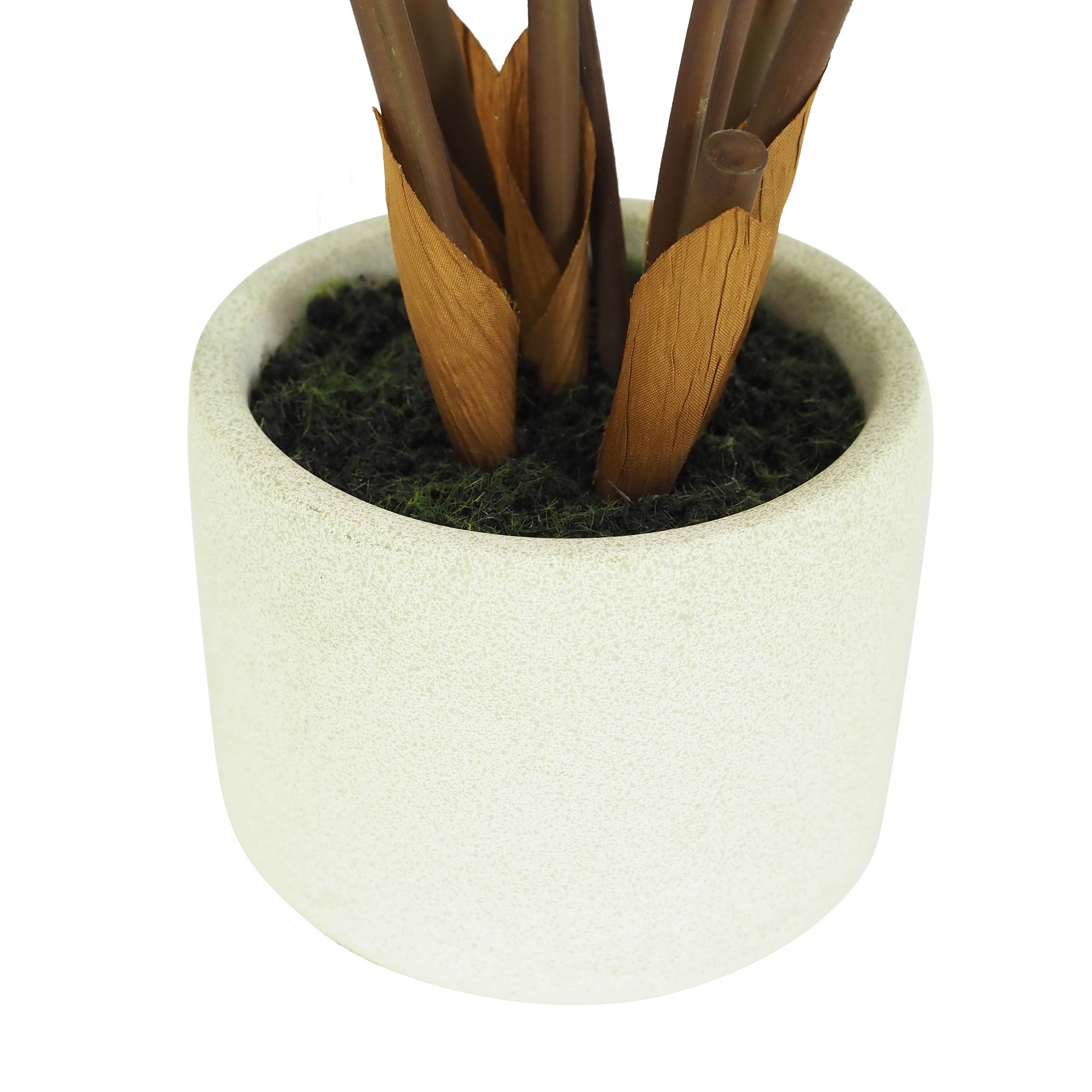 Ligne Deco - Plante verte zamioculcas artificiel 48cm - Image 7