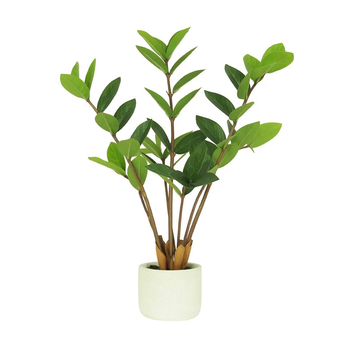 Ligne Deco - Plante verte zamioculcas artificiel 48cm - Image 1
