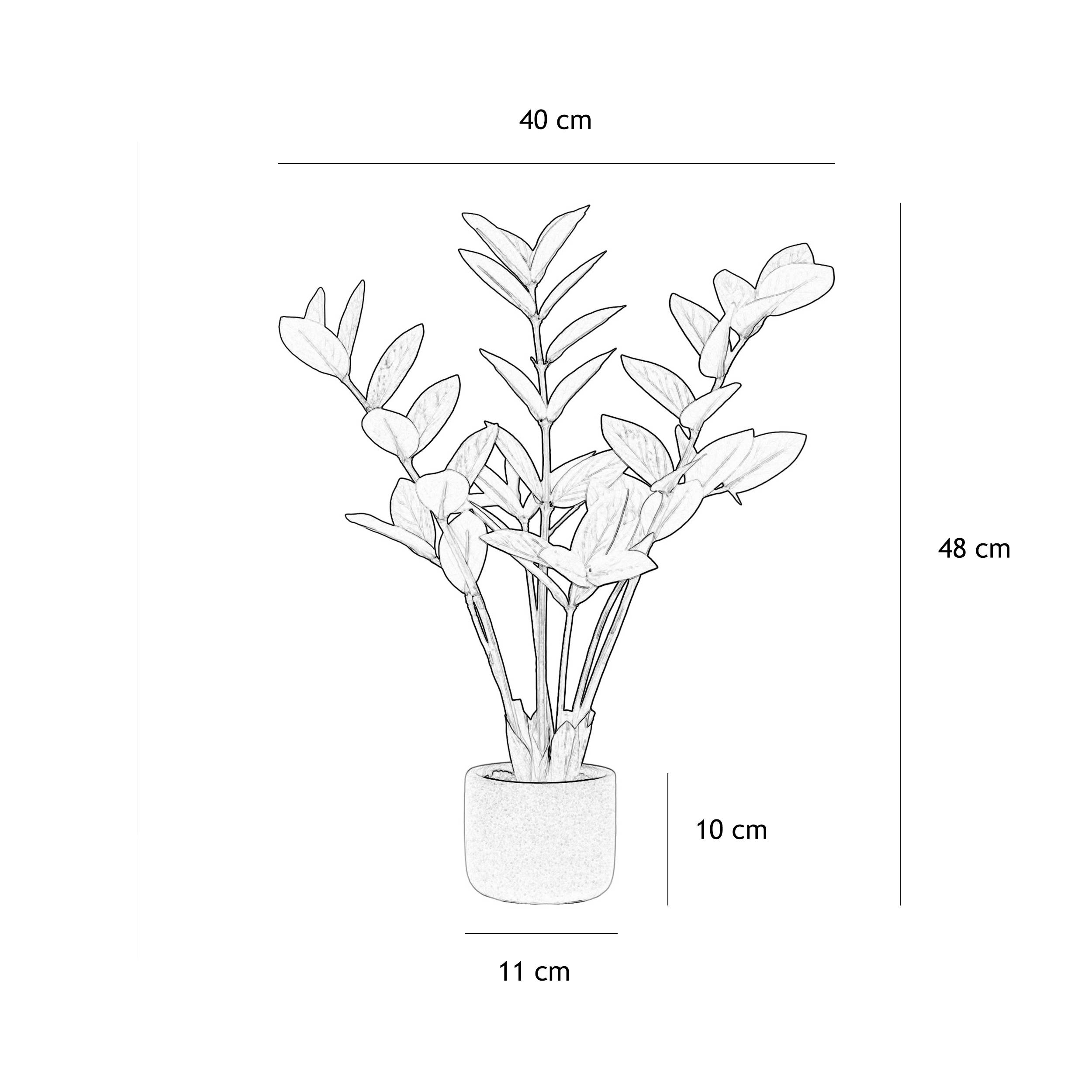 Ligne Deco - Plante verte zamioculcas artificiel 48cm - Image 8