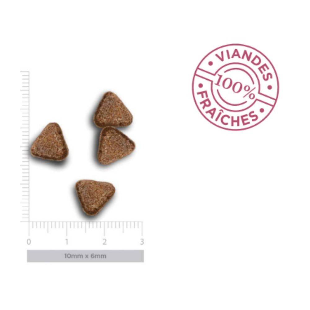 Croquettes Chien Sans Céréales Agneau Sensible Amanova 10  kg - Image 4