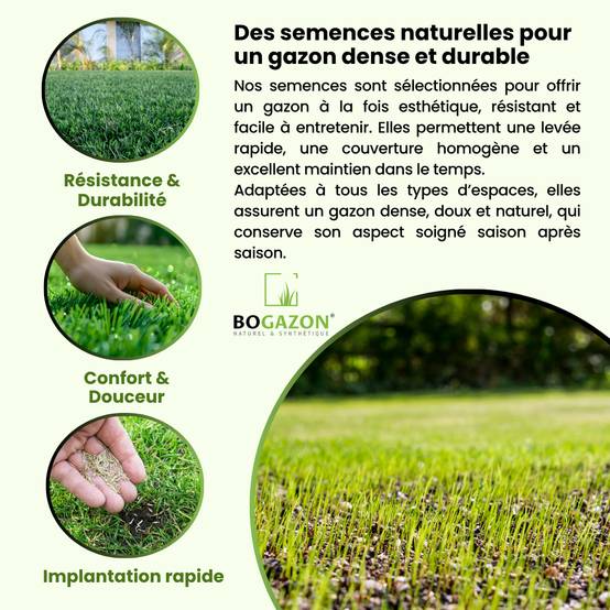 Gazon a semer ICL Pro Strong 10 kg| Graines de Gazon Rustique Résistant Sécheresse Racines Profondes | Semence Universel au Rendement Élevé - Image 3