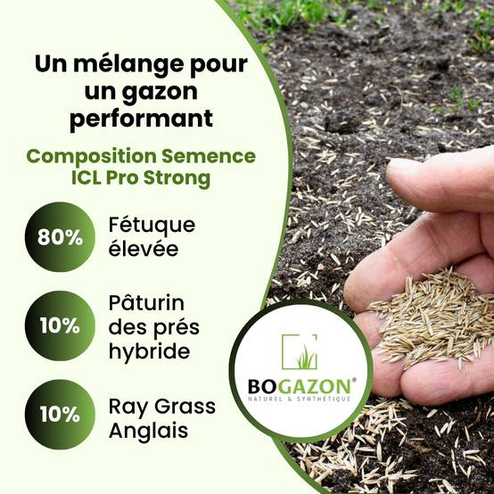 Gazon a semer ICL Pro Strong 10 kg| Graines de Gazon Rustique Résistant Sécheresse Racines Profondes | Semence Universel au Rendement Élevé - Image 5