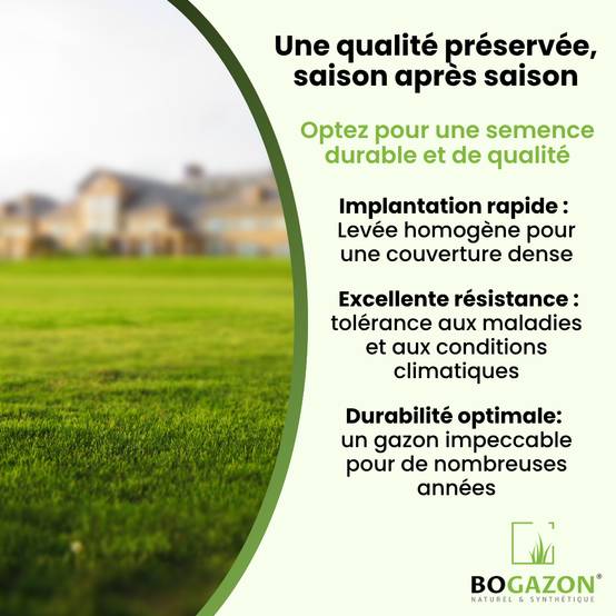 Gazon a semer ICL Pro Strong 10 kg| Graines de Gazon Rustique Résistant Sécheresse Racines Profondes | Semence Universel au Rendement Élevé - Image 6
