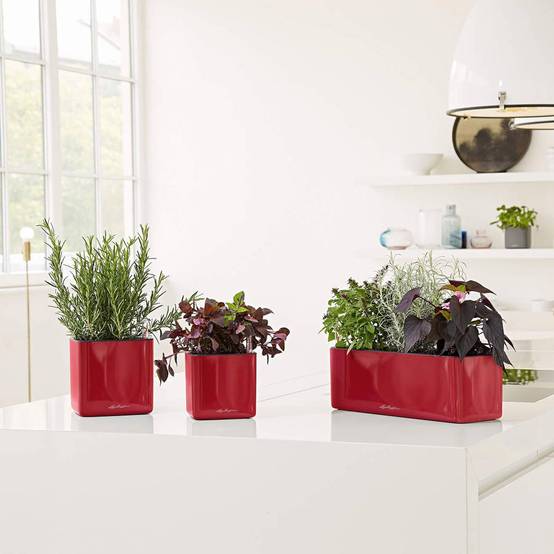 Lechuza - CUBE Glossy Triple - 40x14x14 cm - Kit Complet, rouge scarlet ultra brillant Lechuza - Image 2