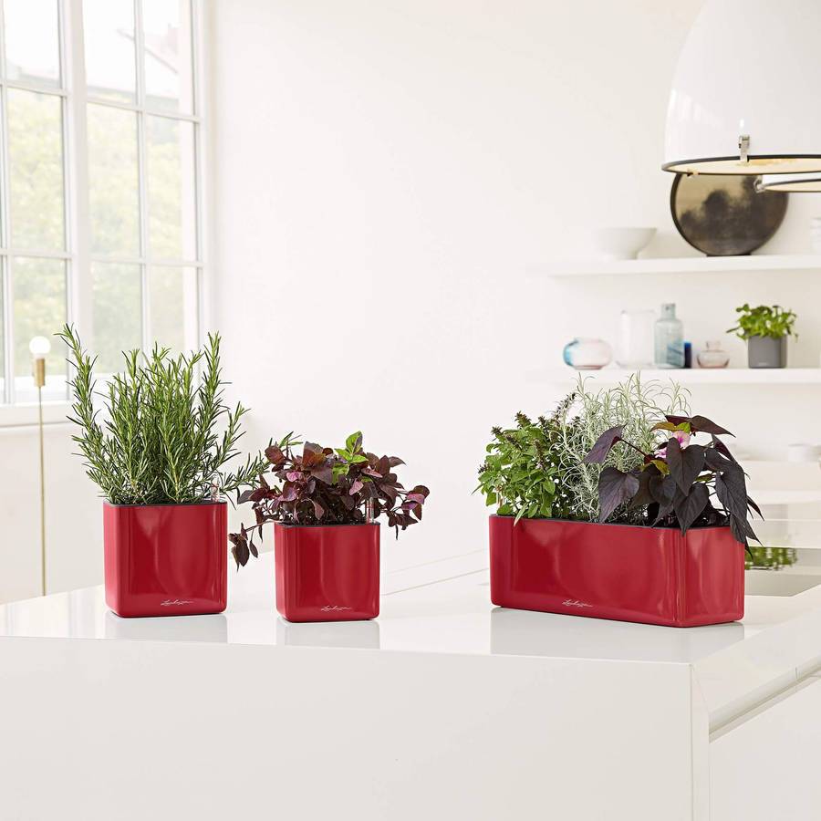 Lechuza - CUBE Glossy Triple - 40x14x14 cm - Kit Complet, rouge scarlet ultra brillant Lechuza - Image 2