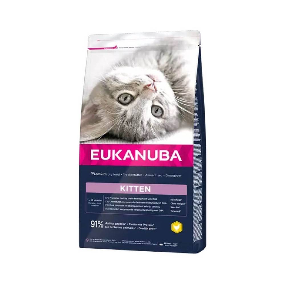 Eukanuba - Croquettes Chaton - Eukanuba Kitten Healthy Start 2kg