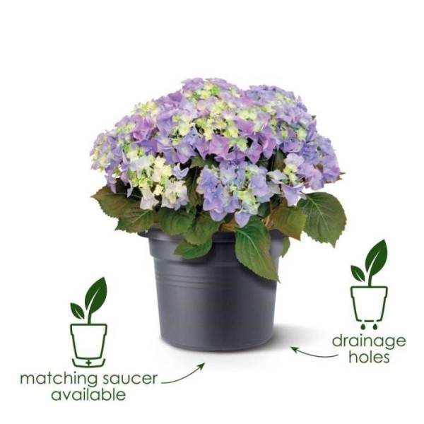 Elho - Elho Bac A Fleurs Green Basics Cilinder 55 - Noir - ø 54 X H 41 Cm - Extérieur - 100% Recyclé - Image 3