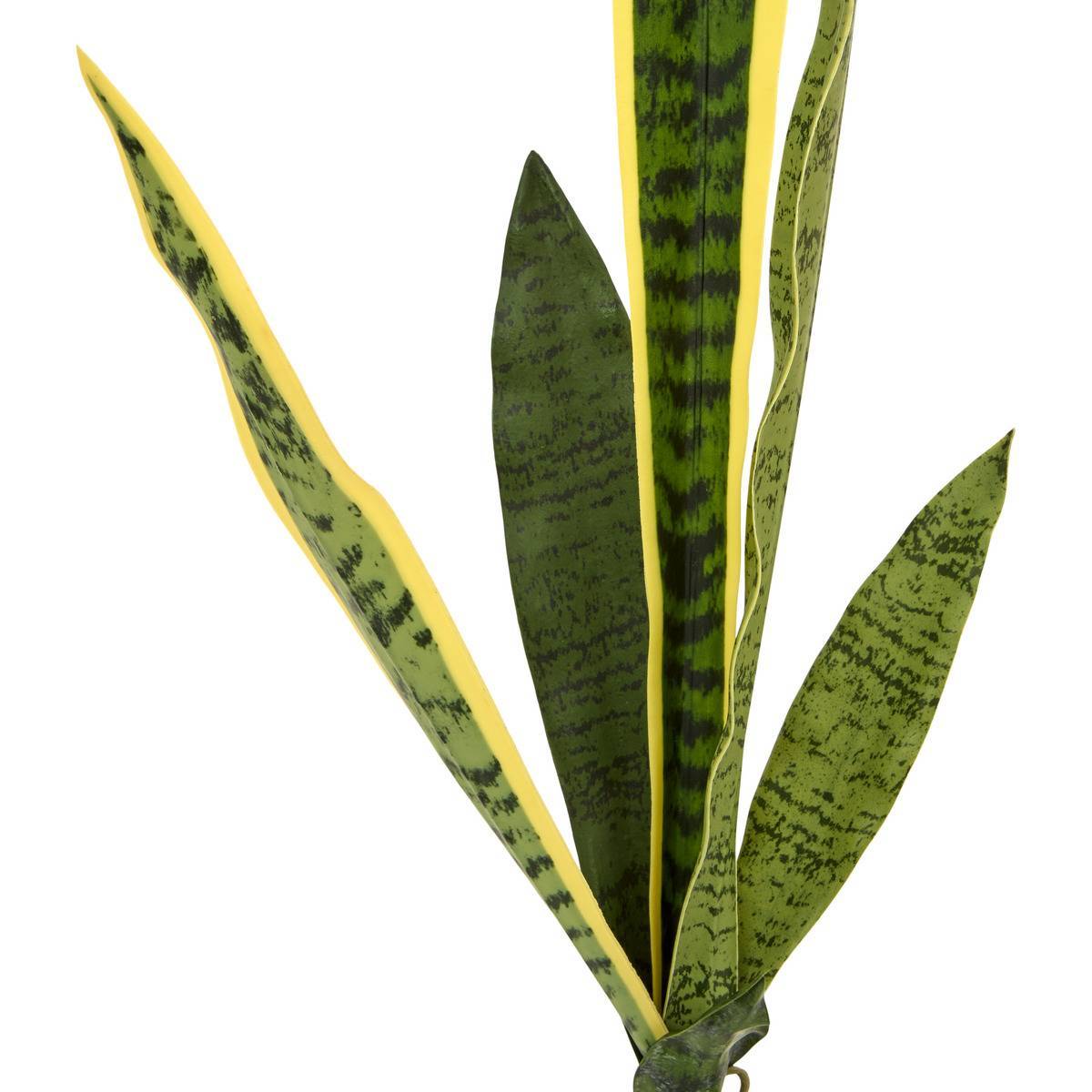 Atmosphera - Tige de sansevieria Nippo H.80cm vert - Atmosphera Créateur d'intérieur - Image 2