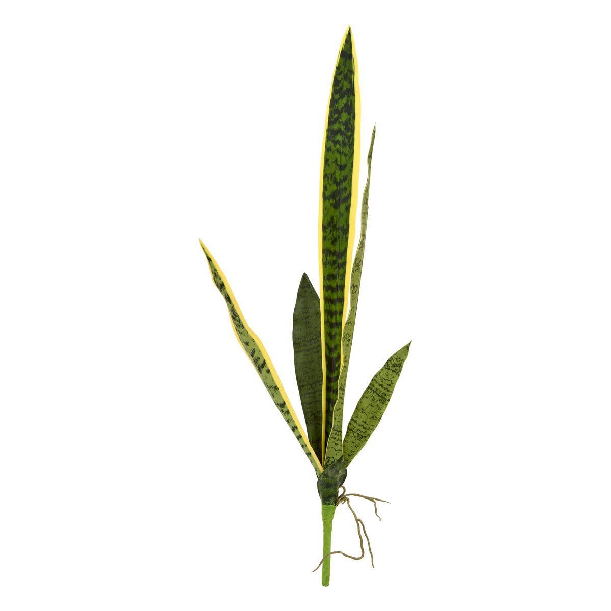 Atmosphera - Tige de sansevieria Nippo H.80cm vert - Atmosphera Créateur d'intérieur - Image 1