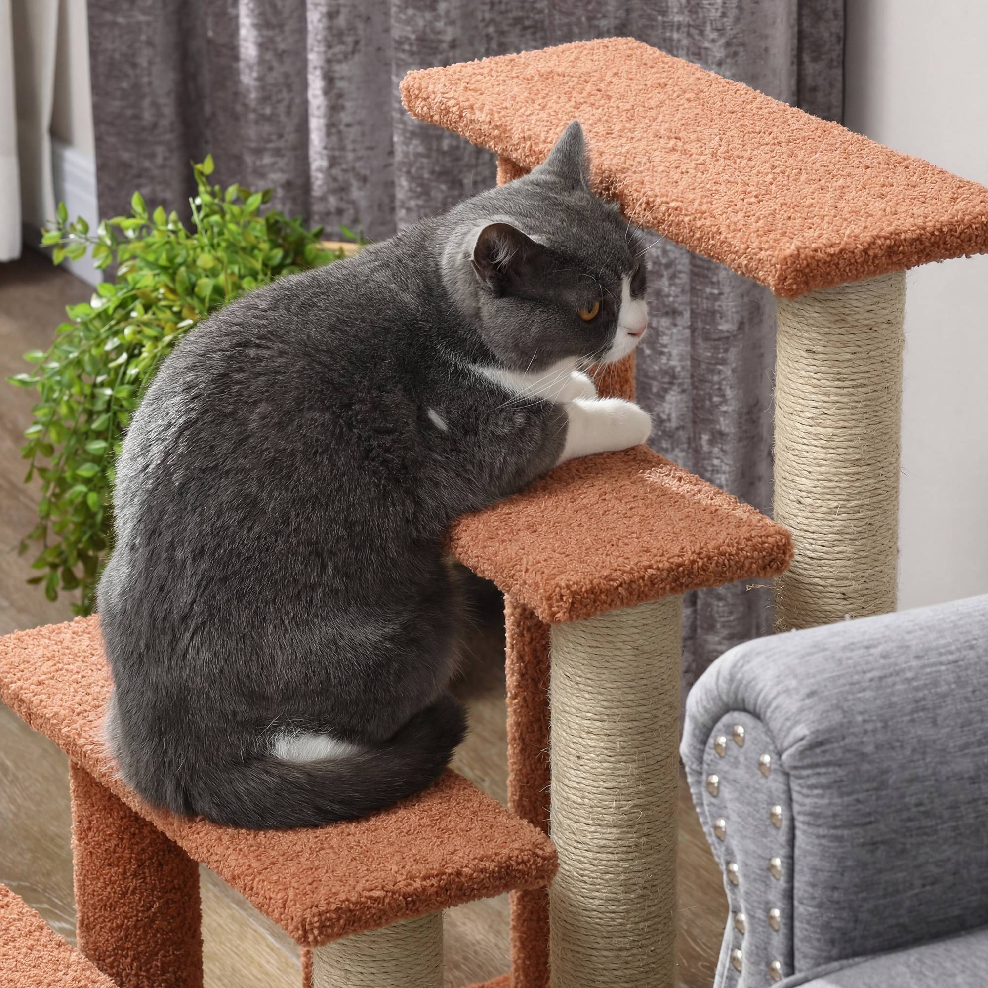 Escalier pour animaux, arbre à chat, 4 marches, animaux jusqu'à 5 kg, 60x40x64cm, marron - Image 10