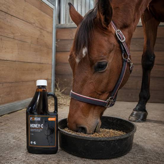Honey + C Foran Sirop Respiratoire Pour Cheval au Miel 1 L 1 l - Image 2