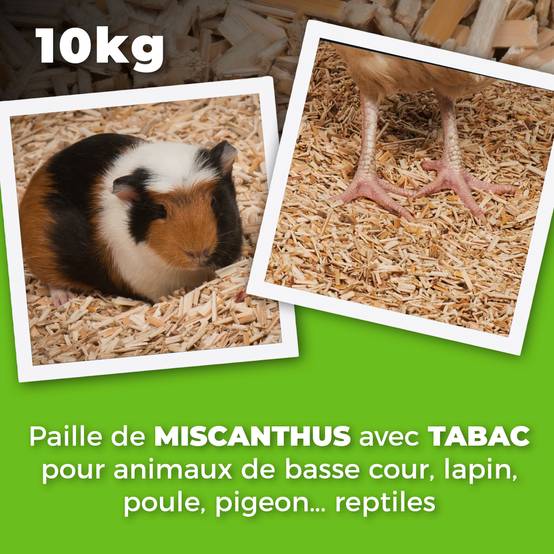 Sans Marque - Litière de paille de Miscanthus avec tabac pour volailles et lapin - 10Kg - Image 2
