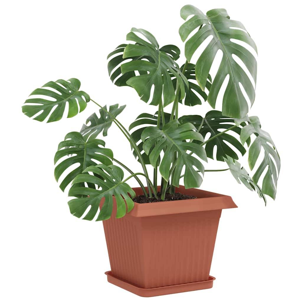 Vidaxl - Pots de plantes 24 pc Rouge brique Plastique vidaXL 3403308 - Image 4