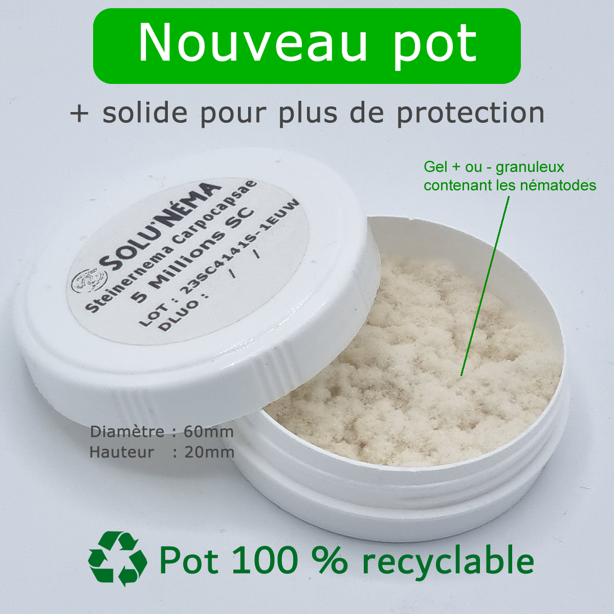 Nématodes contre les Doryphore de la pomme de terre - 5 millions Steinernema Carpocapsae (SC) - Traitement pour environ 10 m² - Image 2