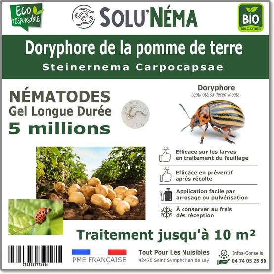 Nématodes contre les Doryphore de la pomme de terre - 5 millions Steinernema Carpocapsae (SC) - Traitement pour environ 10 m² - Image 1