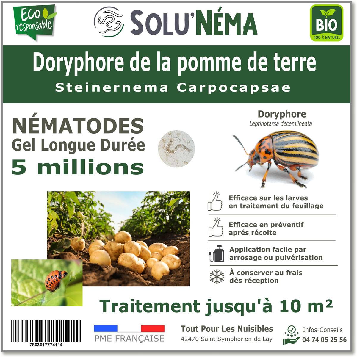 Nématodes contre les Doryphore de la pomme de terre - 5 millions Steinernema Carpocapsae (SC) - Traitement pour environ 10 m² - Image 1