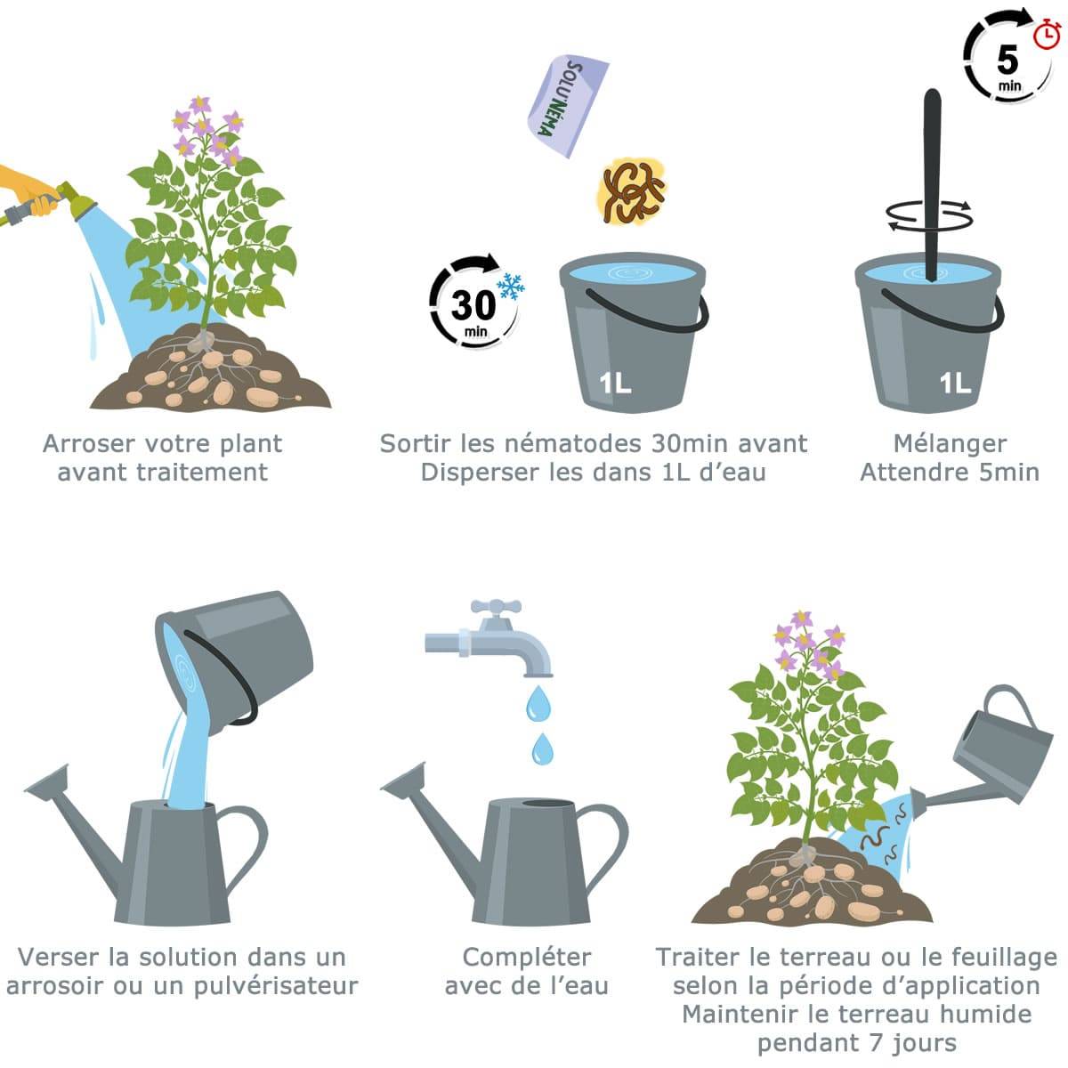 Nématodes contre les Doryphore de la pomme de terre - 5 millions Steinernema Carpocapsae (SC) - Traitement pour environ 10 m² - Image 3