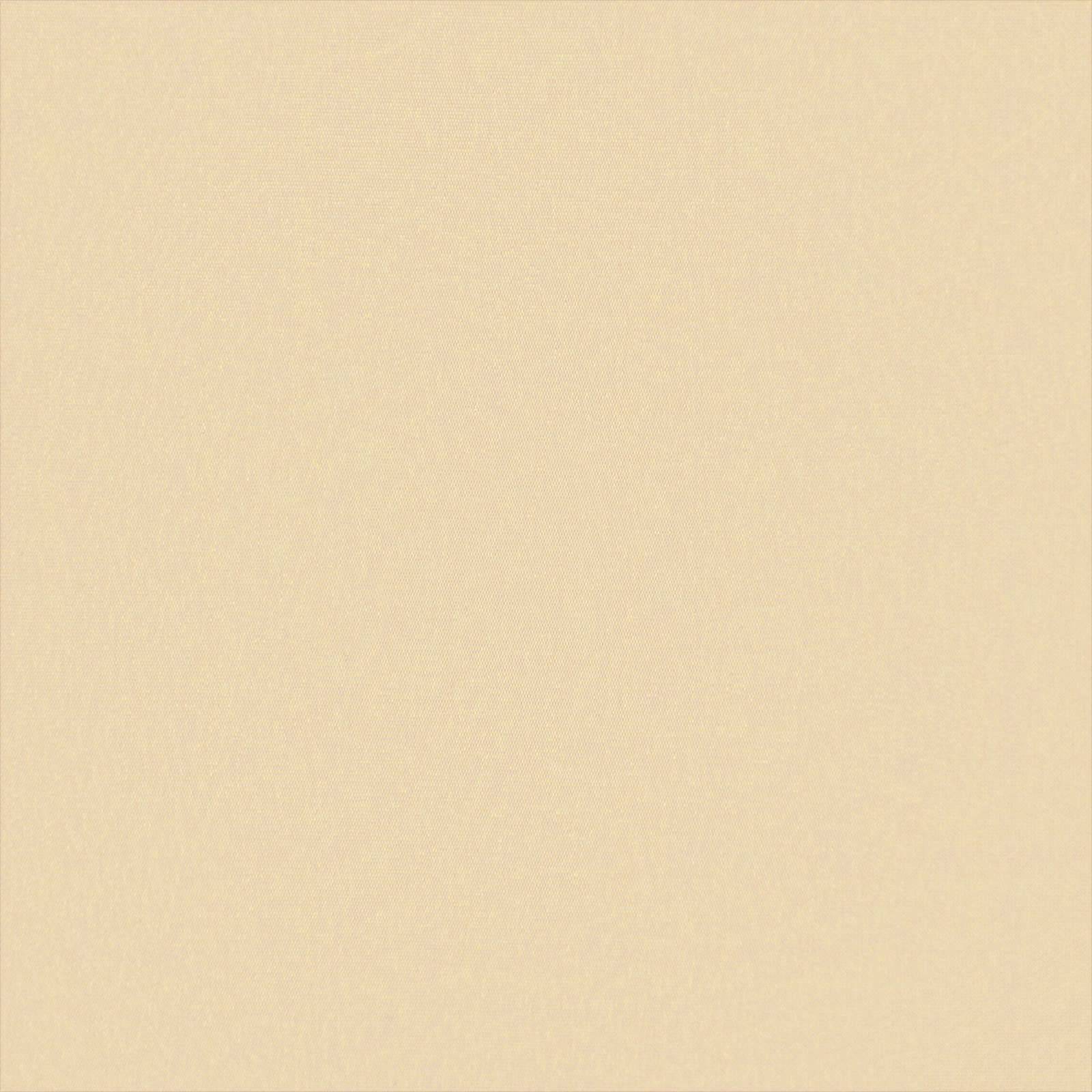 Prolenta Premium - Auvent polyester crème 430 x 295 cm - Prolenta premium p347.7 - Image 6
