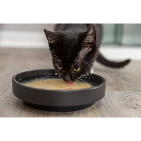 Trixie - Soupe au poulet et aux crevettes 4 x 80 g pour chat - Image 3
