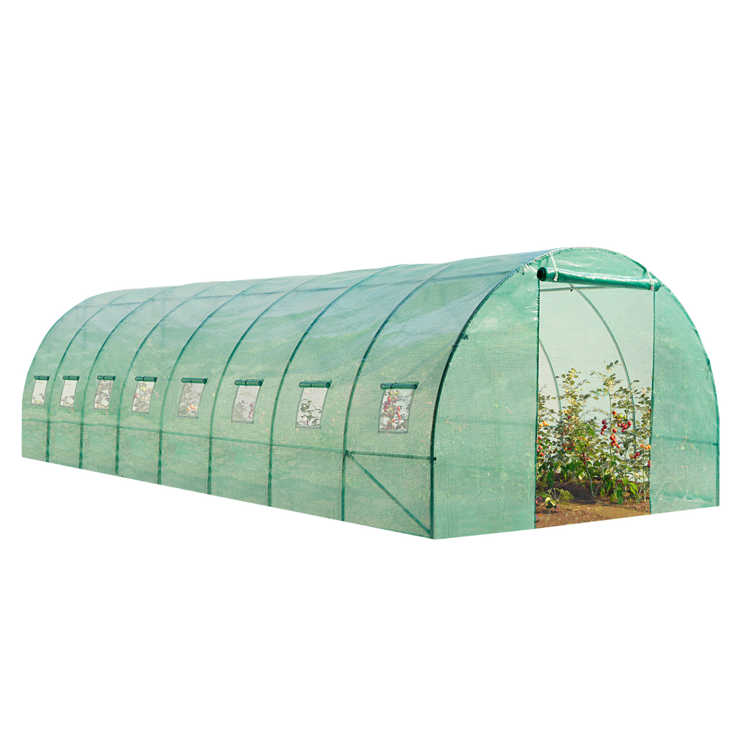 Bâche de rechange pour serre de jardin tunnel 24m² 8 x 3 x 2 m anti-UV avec porte et fenêtres DES ANDES verte - Image 3