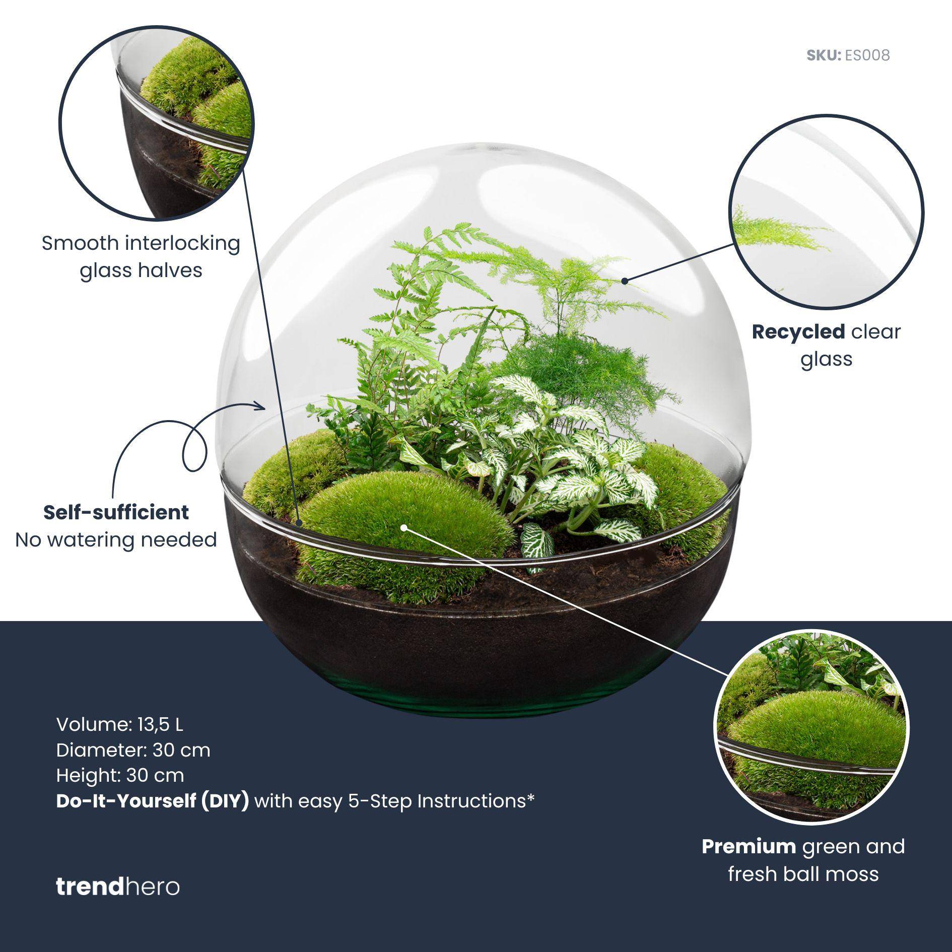 Terrarium à composer boule en verre recyclé - Ø30-H30cm - avec râteau, pelle et pince - Fern White - Terrarium DIY - Image 2