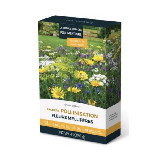 Novaflore - Prairies fleuries : Jachère je prend soin des pollinisateurs