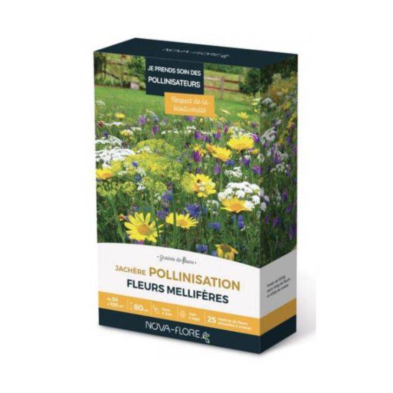 Novaflore - Prairies fleuries : Jachère je prend soin des pollinisateurs