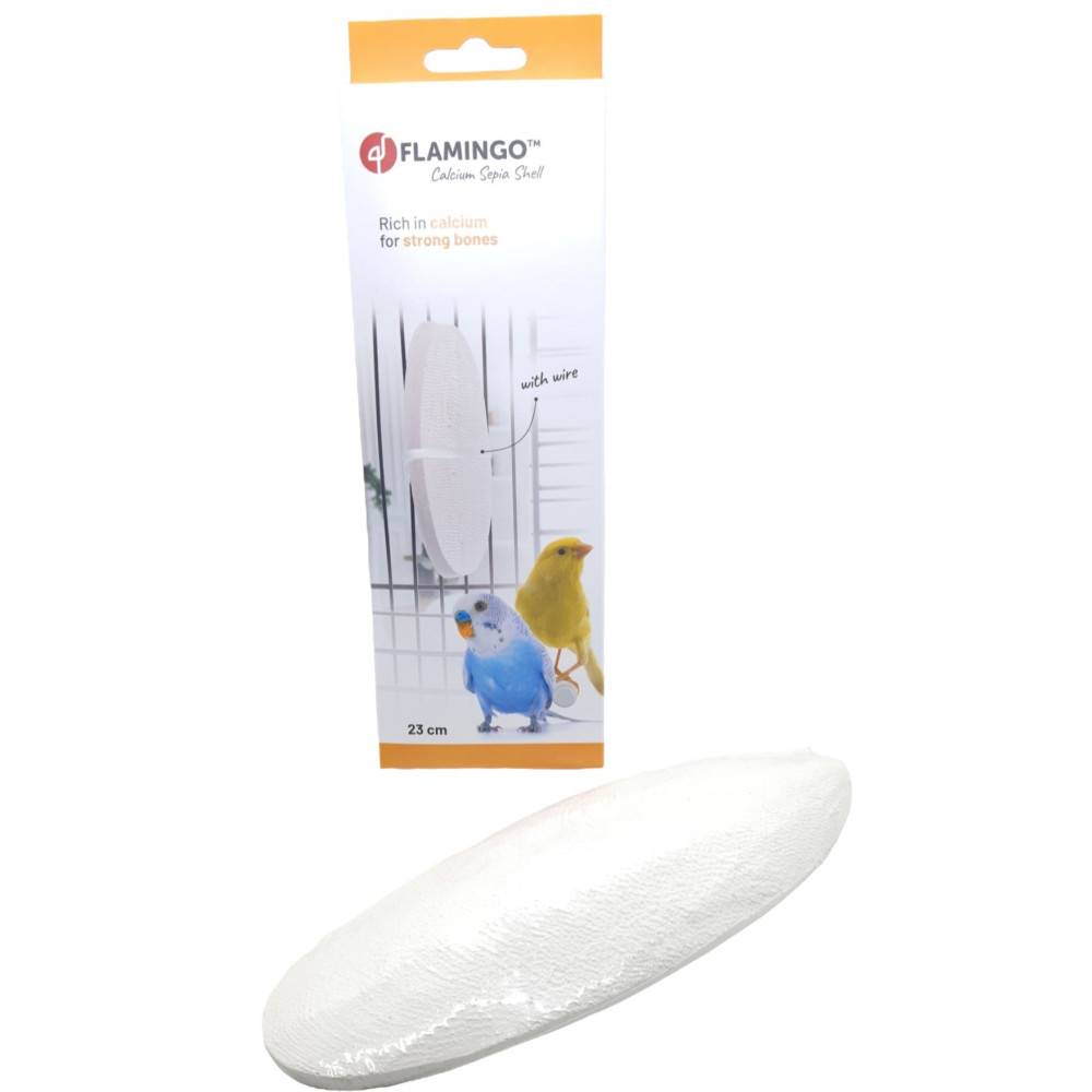 Un Os de seiche blanc 23 cm avec attache pour oiseaux - Image 1