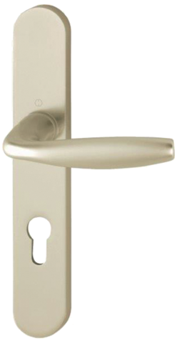 Ensemble de porte plaque large New york Clé i Champagne F2 HOPPE - 1810/300M - 195mm - entr.7/70 C.7 - 38/47 - 3281944