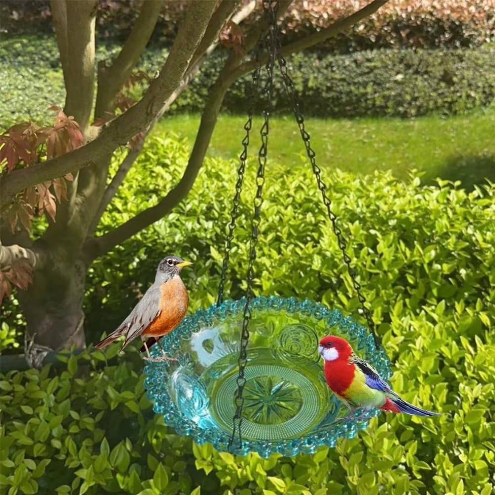 Mangeoire et bain d'oiseaux-suspendu - Plateau plastique transparent - Chaînes métalliques stables - 23,5 x 40 cm - Living123 - Image 4