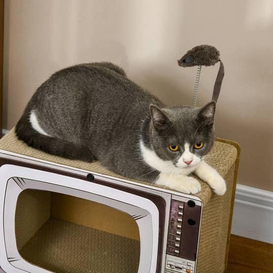 Maison Griffoir pour Chat en Carton Forme TV avec Souris et Herbe à Chat Sable - ComfortXL Outdoor Living - Image 9