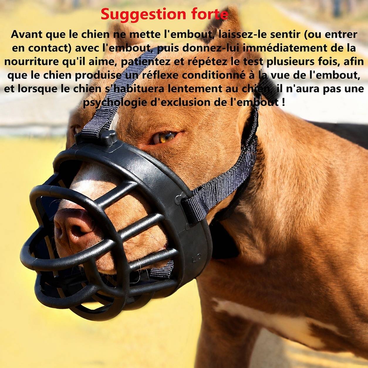 Muselière pour Chien Respirante Réglable Anti Morsure Anti Aboiement - Image 3
