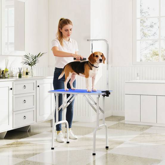 ComfortXL - Table de toilettage pour chien acier inoxydable 81 x 48,5 x 80 cm bleue pliable avec potence réglable - Image 1