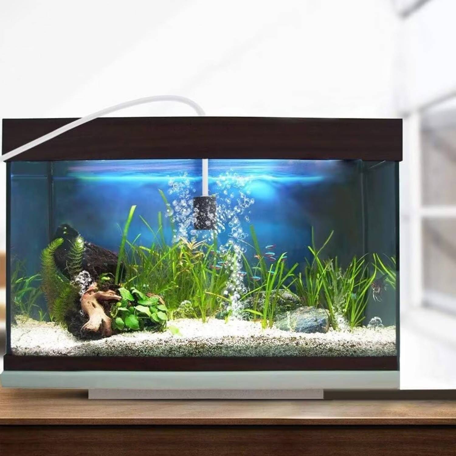 DtopbuyAge - Oxygénez Votre Aquarium Économiquement - USB DtopbuyAge - Image 5