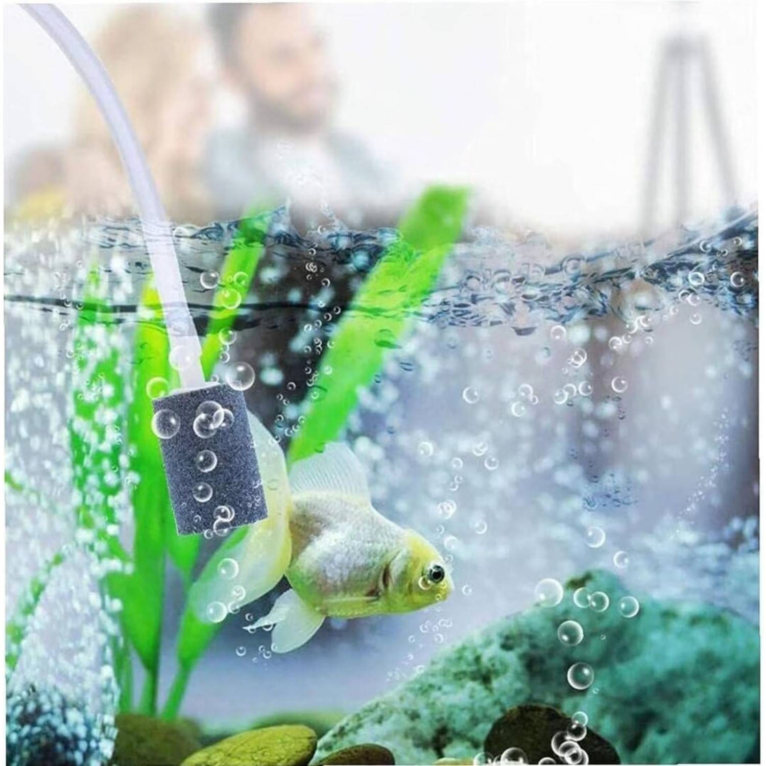 DtopbuyAge - Oxygénez Votre Aquarium Économiquement - USB DtopbuyAge - Image 4