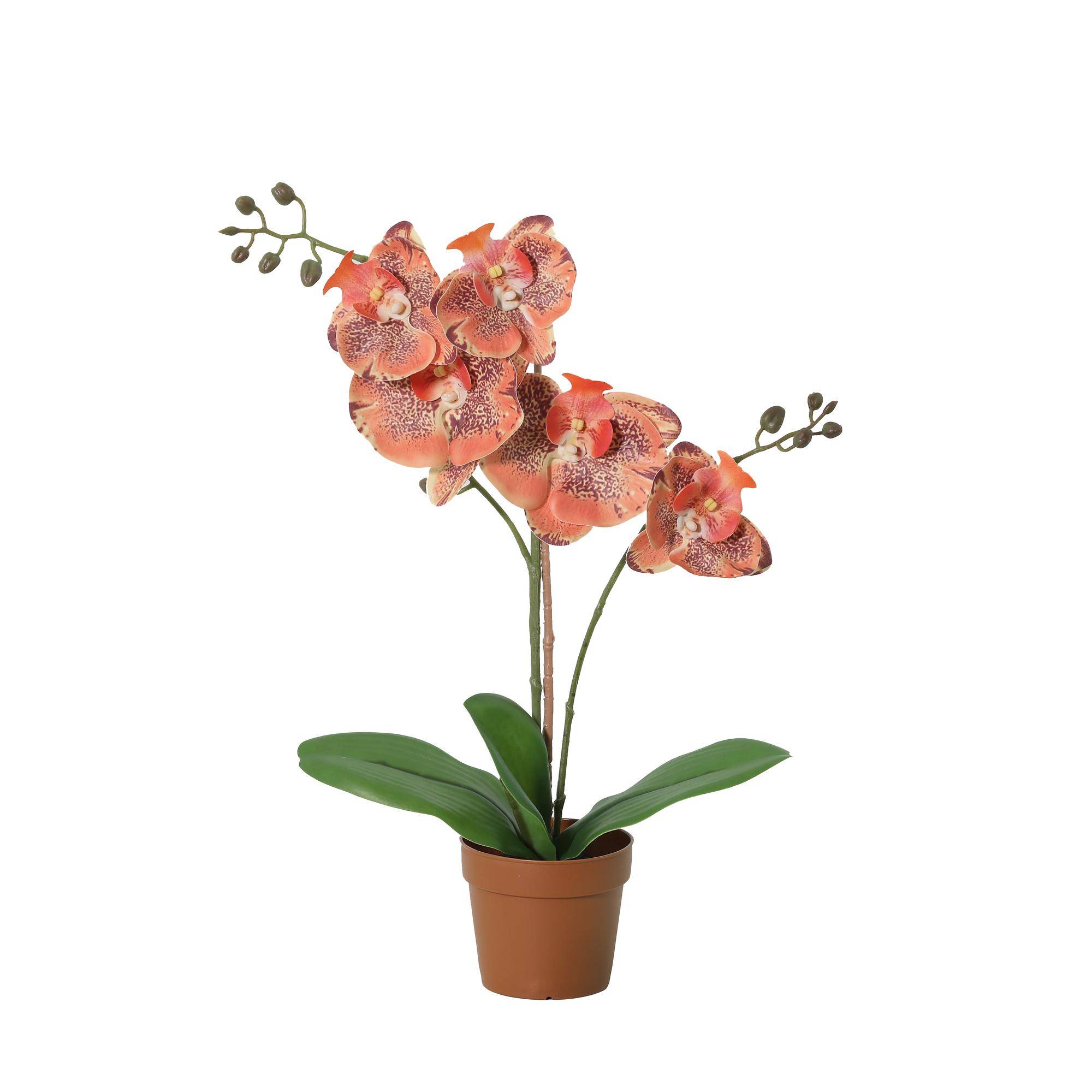 Phalaenopsis orchidée orange - 42cm - Ø9cm - Plante artificielle - Image 1