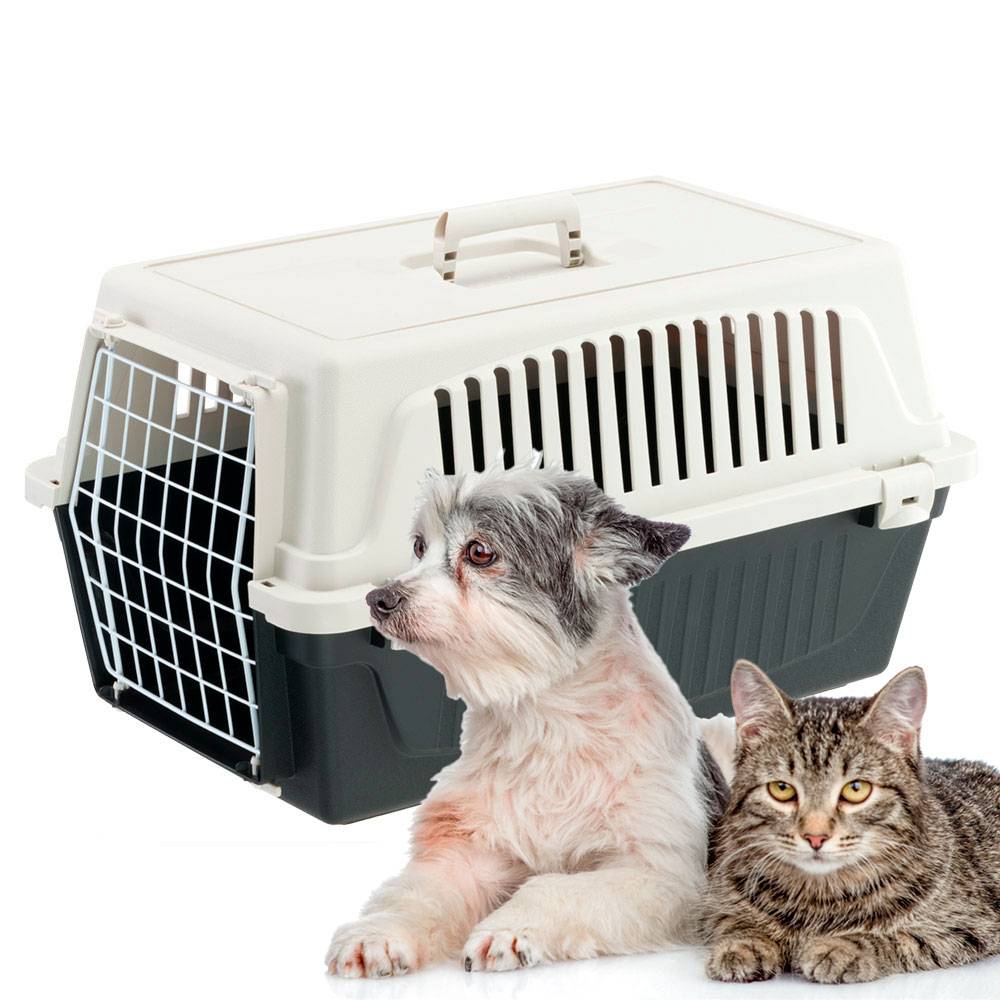 Ferplast - Ferplast Caisse de Transport Chat, Cage de Transport pour Chiens Petits et Chats jusqu'à 8 Kg, Porte en Fer Plastifié, Fentes d'aération, 37 x 58 x h - Image 6