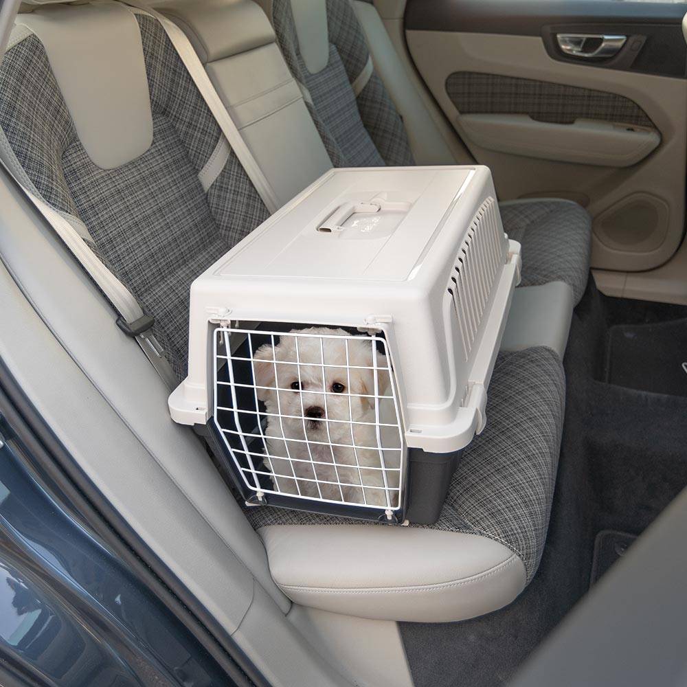 Ferplast - Ferplast Caisse de Transport Chat, Cage de Transport pour Chiens Petits et Chats jusqu'à 8 Kg, Porte en Fer Plastifié, Fentes d'aération, 37 x 58 x h - Image 3