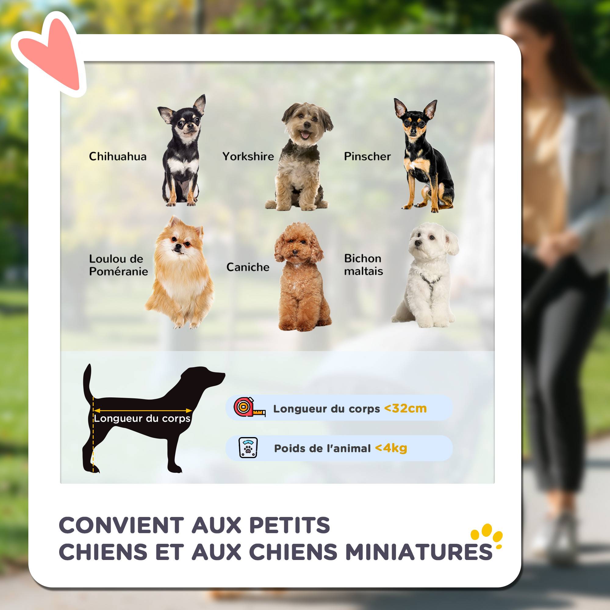 Poussette pour chien et chat pliable, 4 roues avec freins, tissu Oxford 300D imperméable, panier de rangement, gris - Image 6