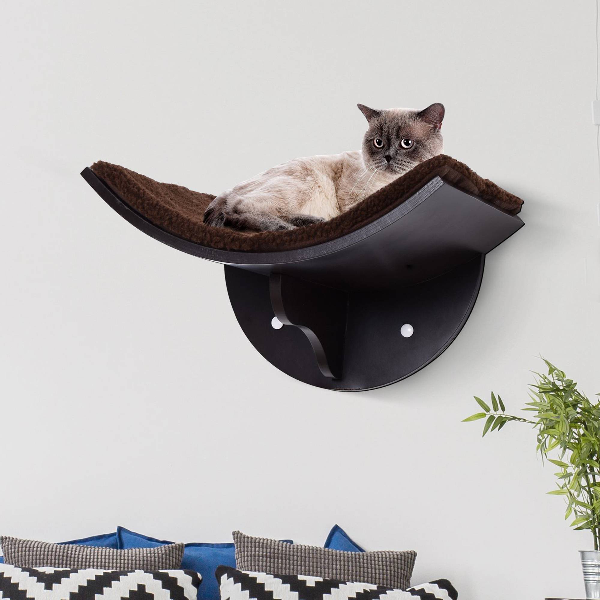 Sans Marque - Mur d'escalade chat, fixation murale, peluche, jusqu'à 4,5 kg, Marron - Image 4