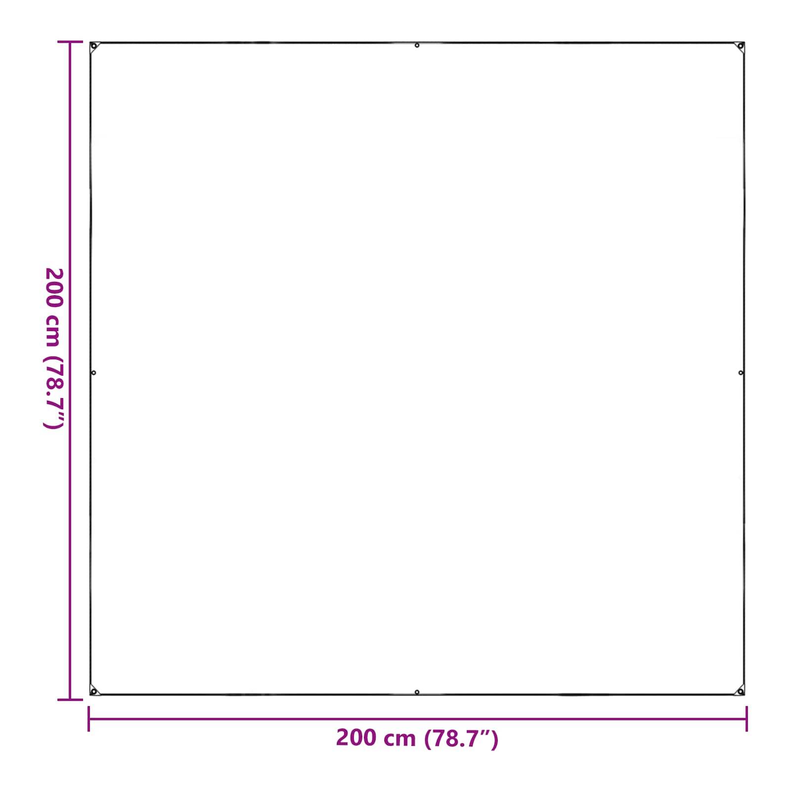 Vidaxl - Couverture pour plantes 2 x 2 m PVC Transparent vidaXL 3429346 - Image 3