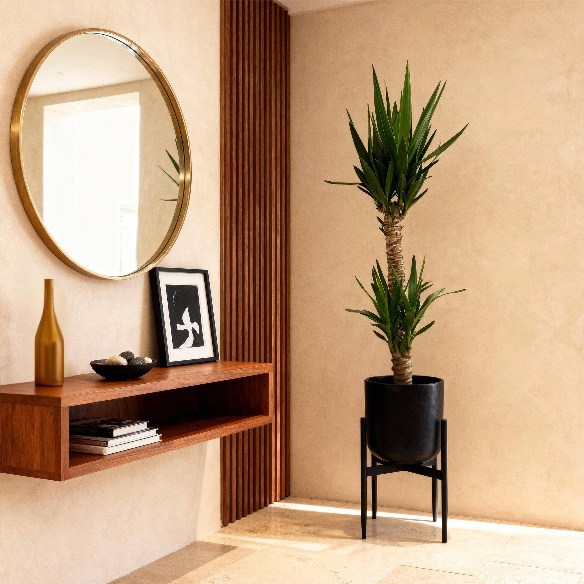 Yucca elephantipes - Yucca - Pot de 19cm - Hauteur de 12cm - Sans cache-pot - 2 plantes - Plantes d'intérieur - Image 4