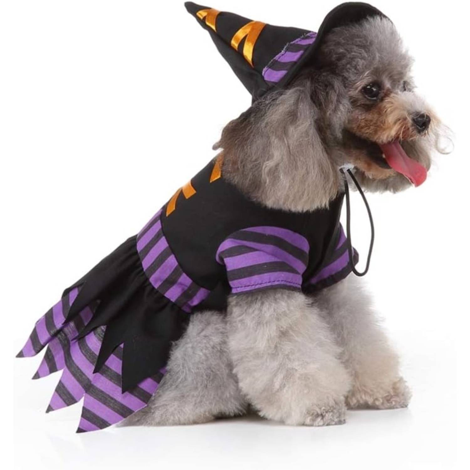 DtopbuyAge - Déguisement Sorcière pour Petit Chien M DtopbuyAge - Image 4