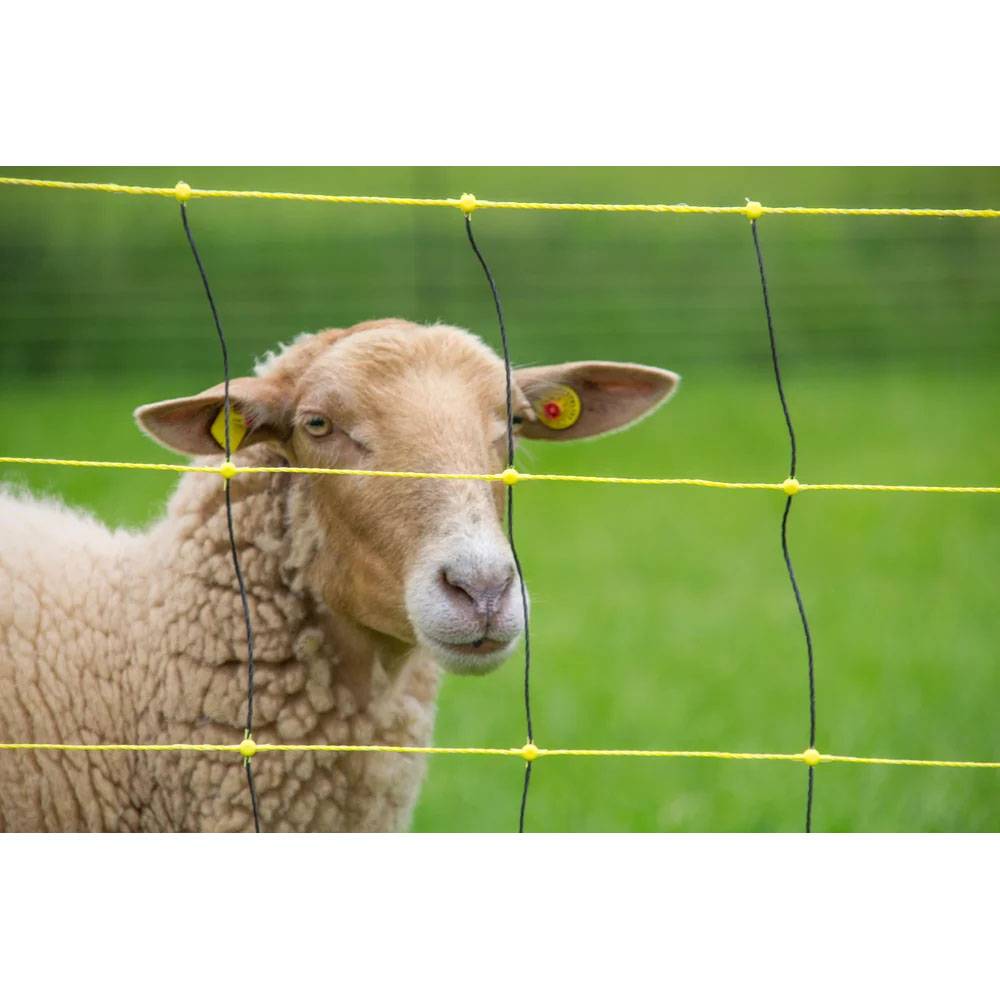 Horizont - Filet anti-loups 50 m, h 90/120 cm, double pointe, horinetz super - Image 3