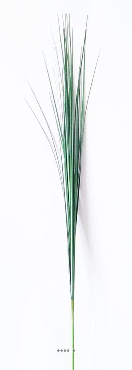 Artificielles - Isolepsis artificiel Vert H 90 cm superbe Graminée herbe de savane